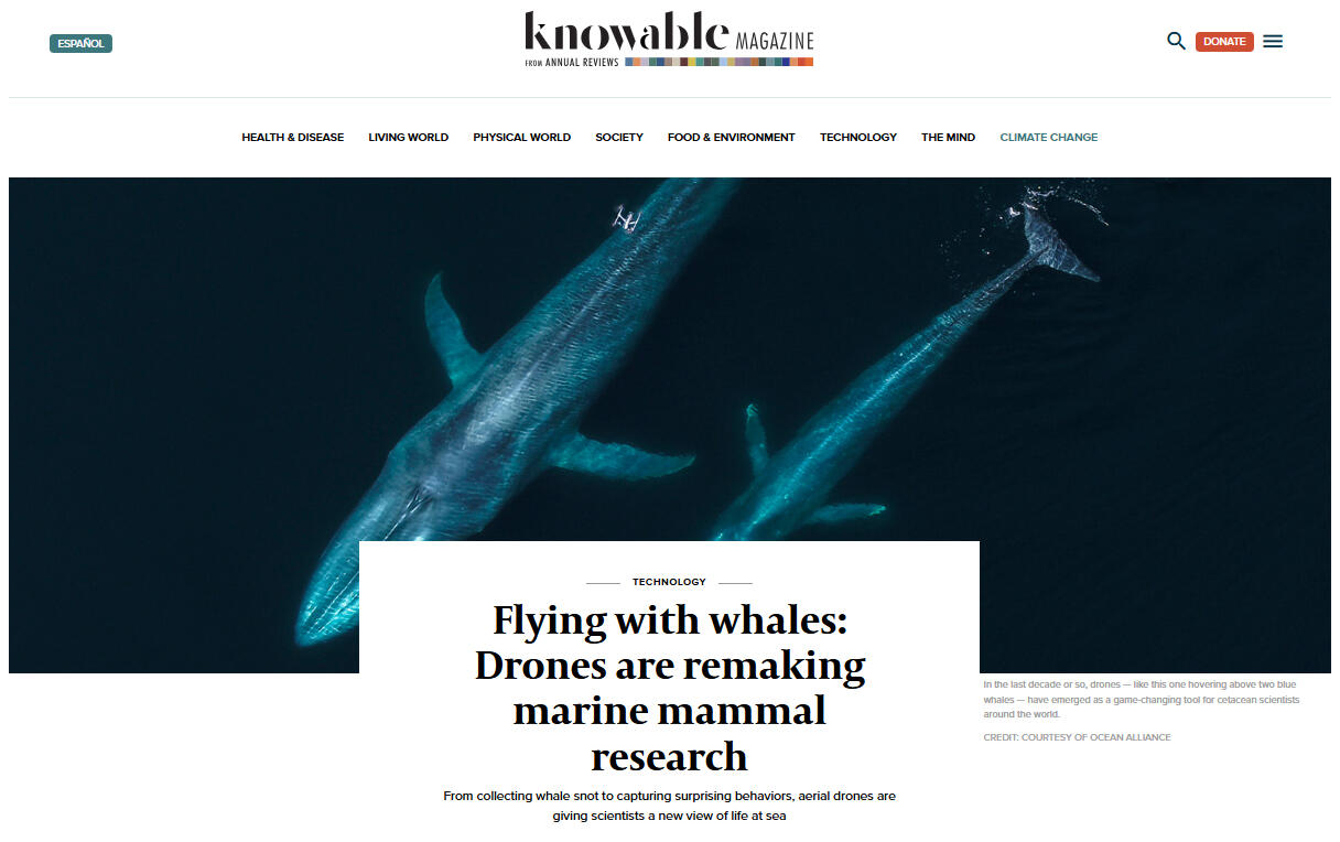 Knowable Magazine: Flying with whales: Drones are remaking marine mammal research