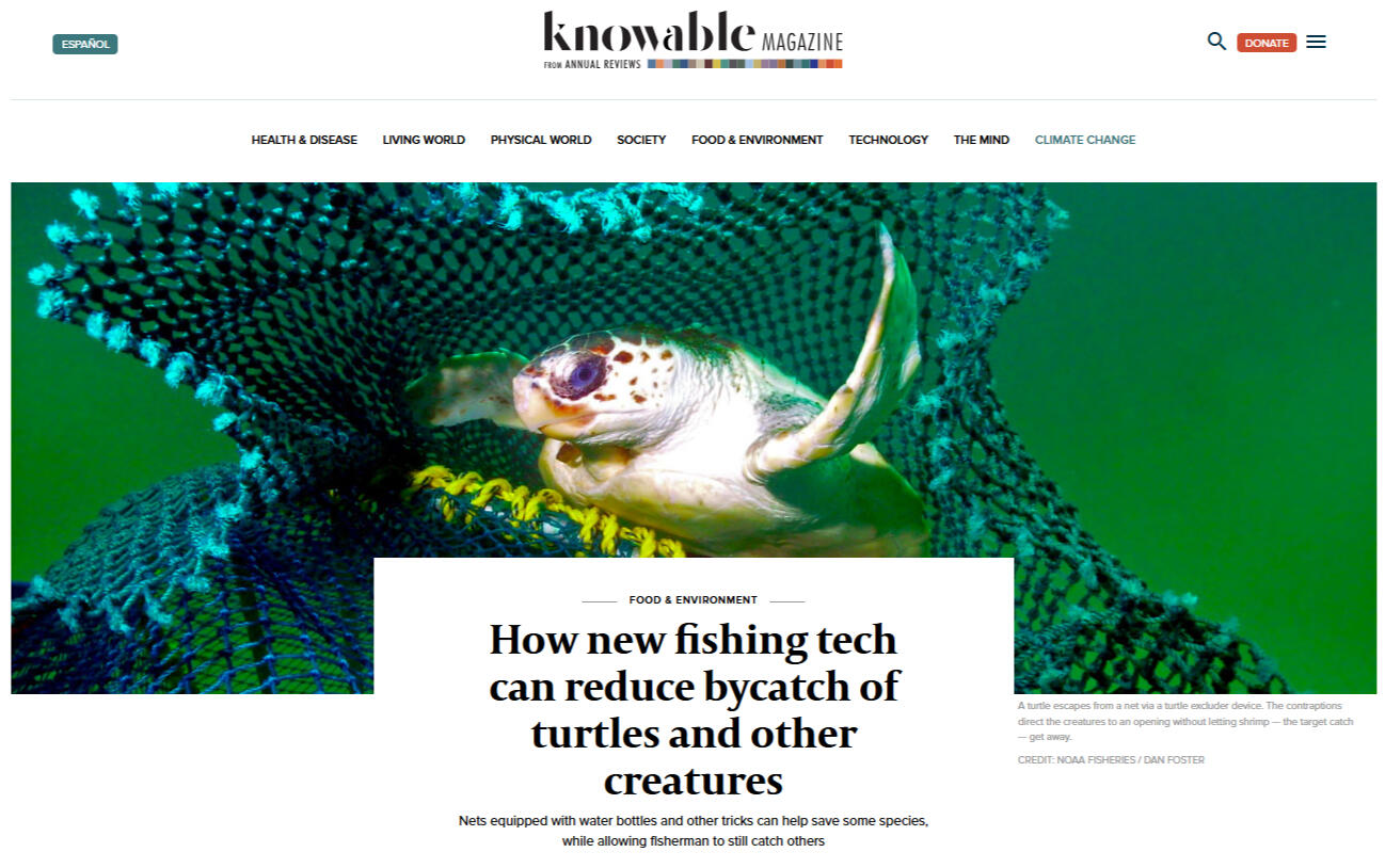 Knowable Magazine: Flying with whales: Drones are remaking marine mammal research