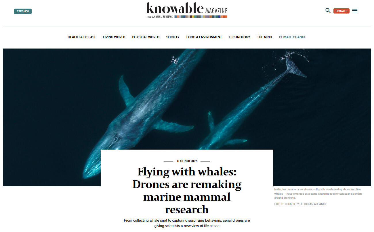 Knowable Magazine: Flying with whales: Drones are remaking marine mammal research