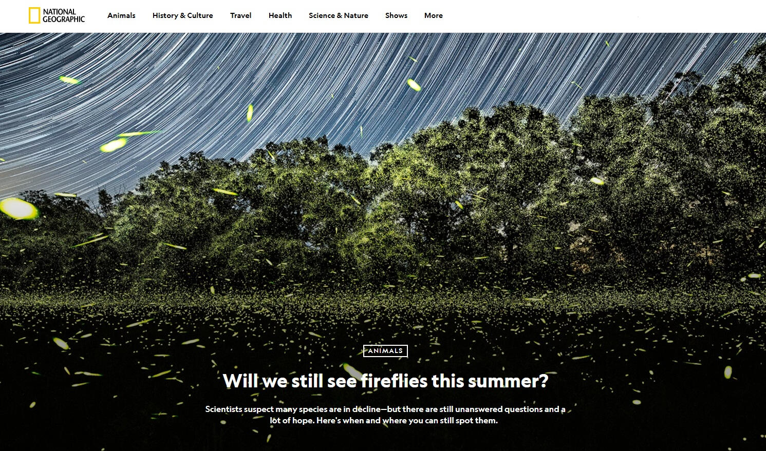 National Geographic: Will we still see fireflies this summer?
